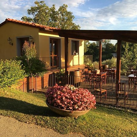 Agriturismo Petrognano SantʼEllero Εξωτερικό φωτογραφία